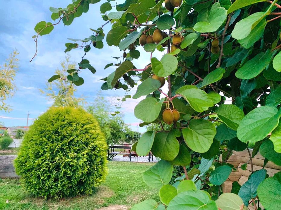 ПРОДАЖ ЕКО-КОМПЛЕКСА Piknik Park з МЕГА локацією / обмін на квартиру