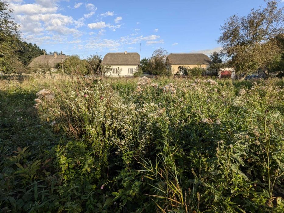 Продається  1 кімнатний  будинок і 14 сотих землі,село Задністрянське.