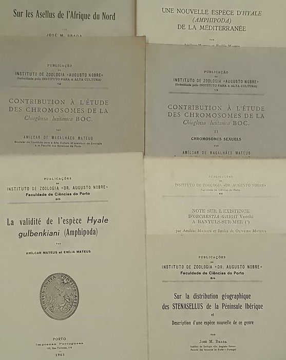Instituto de Zoologia "Dr, Augusto Nobre" 1942/73 - 15 Unidades