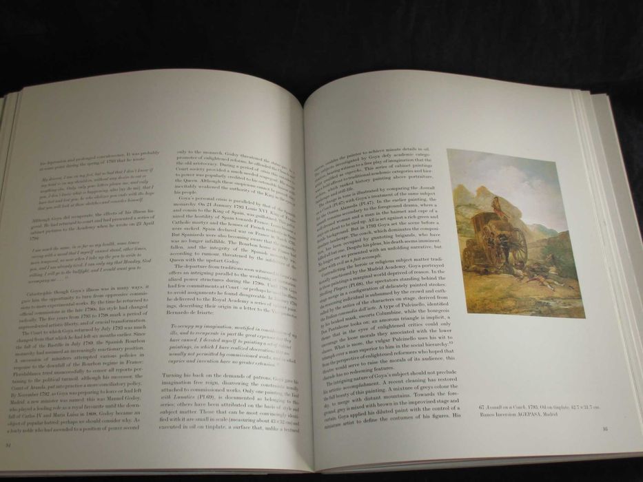 Livro Francisco Goya y Lucientes 1746 a 1828 Janis Tomlinson