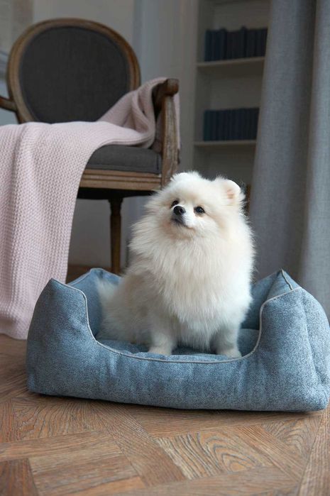 Безкоштовна доставка | Лежанка для собак, м'який лежак для собаки