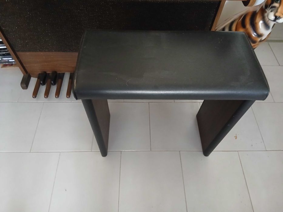 Órgão em bom estado e funcional