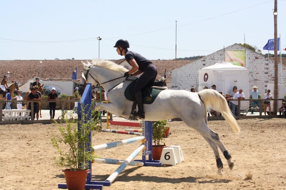 Egua de obstaculos