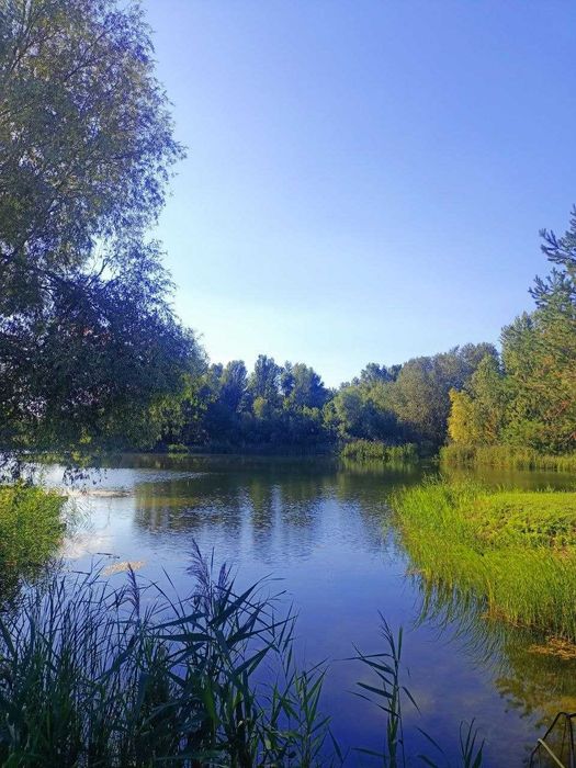 Продажа дачі в СТ Славутич с.Коробівка