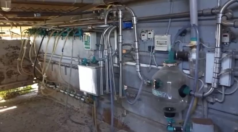 Доильная установка для летнего лагеря КРС УДЛ-12