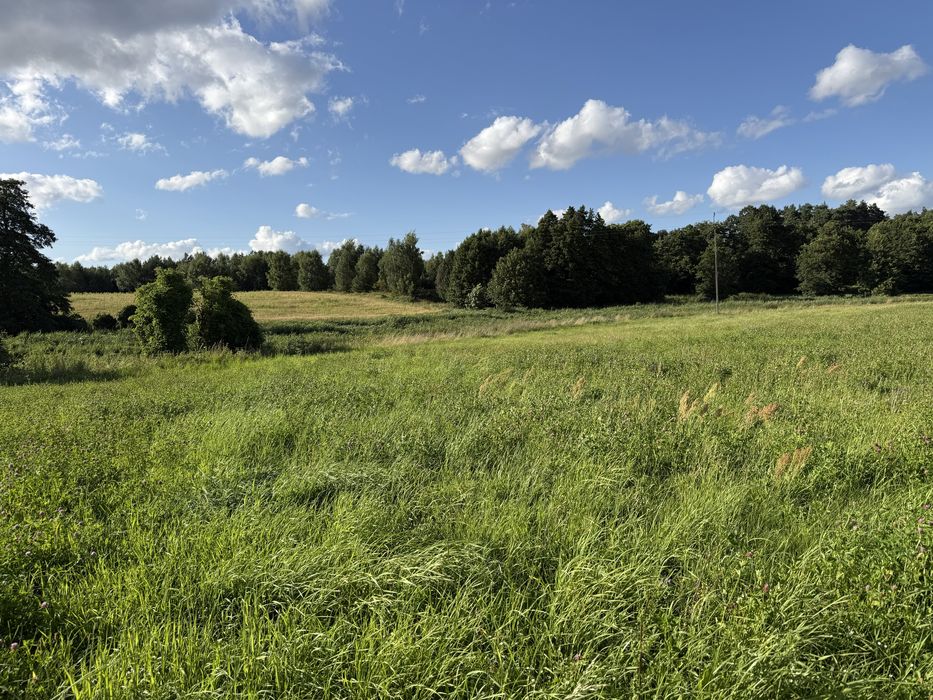Działka budowlana / warunki zabudowy / prąd
