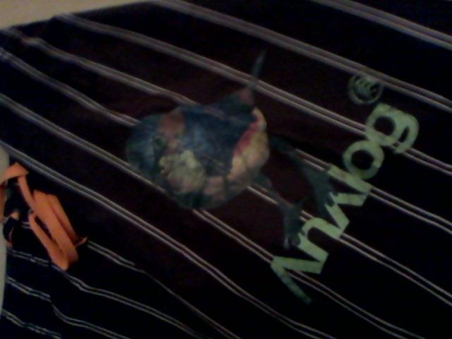 ANALOG Calções de banho