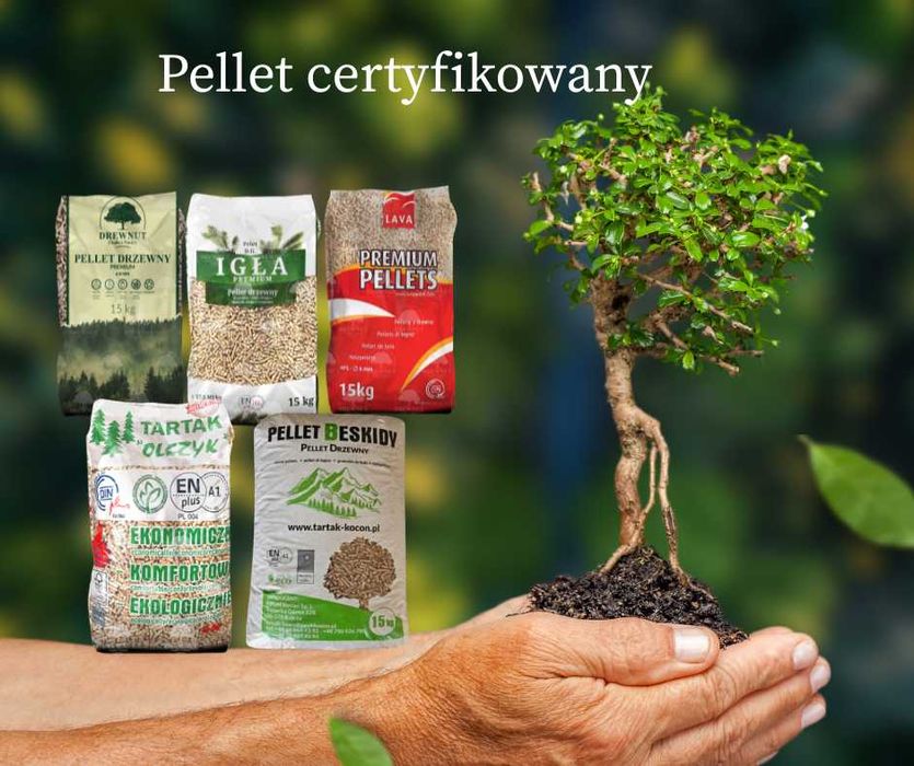 Pellet Drzewny ENplus A1 Igła Beskidy Drewnut Olimp Olczyk Lava 2A