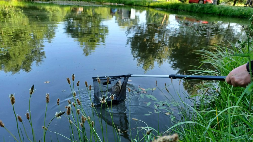 Agroturystyka, Noclegi na wsi, Staw, Wędkowanie, Domki letniskowe