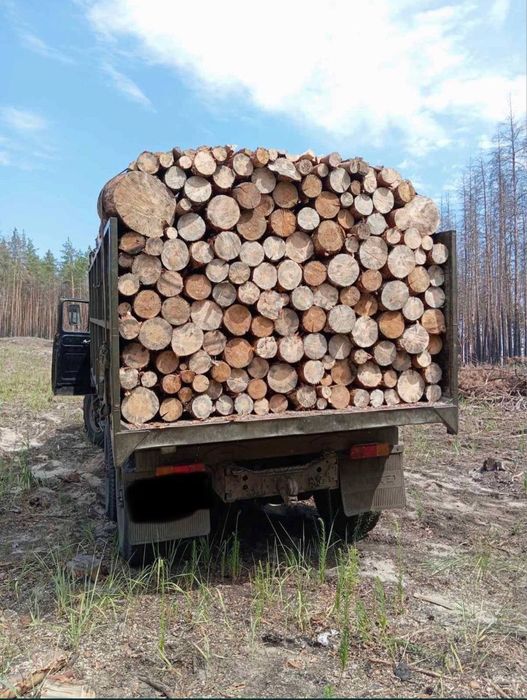Дрова колоті дуб/ береза,вільха, з досьавкою