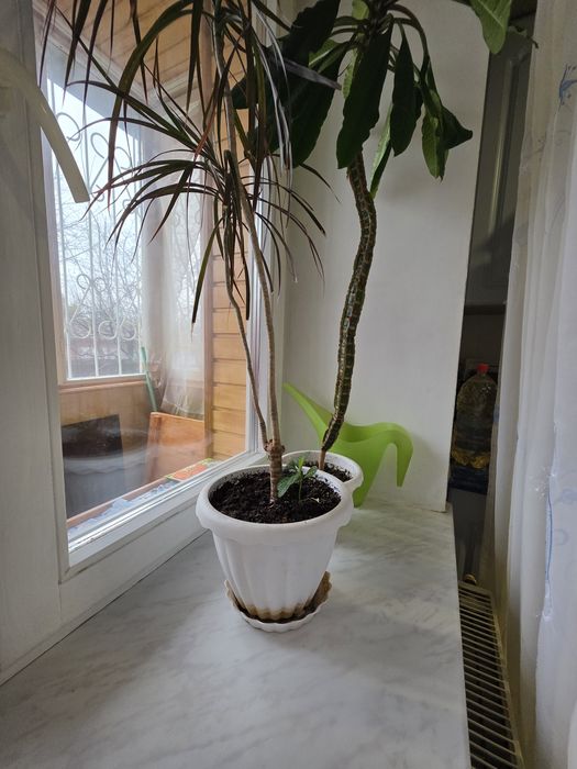 1-кімнатна квартира з автономним опаленням