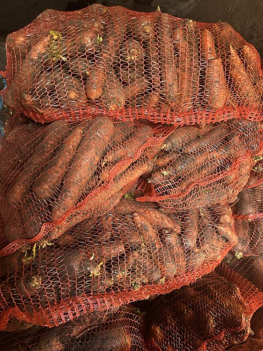 Продам картоплю моркву буряк червоний капуста