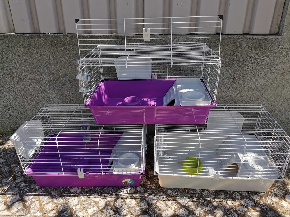 KIT Coelhos anões mini loop, orelhudos muito meigos e brincalhões