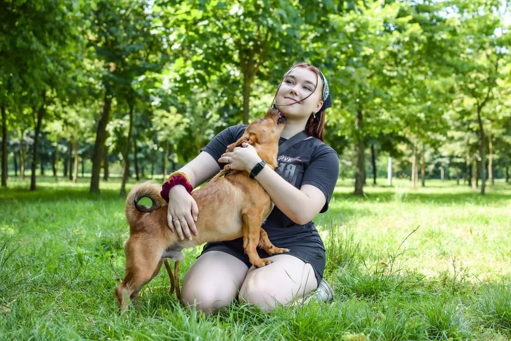 Uroczy, rudy kawaler wniesie do Domu dużo energii i radości!