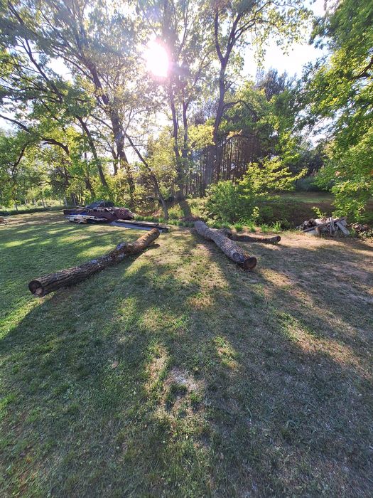 Sprzedam drewno dębowe