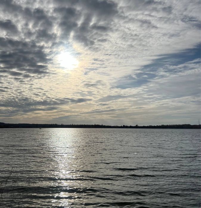 Ділянка на березі Південного Бугу | ліс | власник