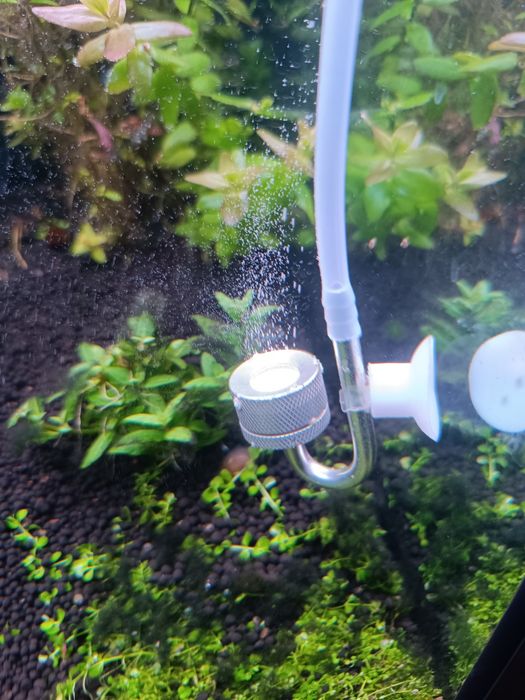 Aquário 160 litros como novo sem um único risco tem um ano, completo.