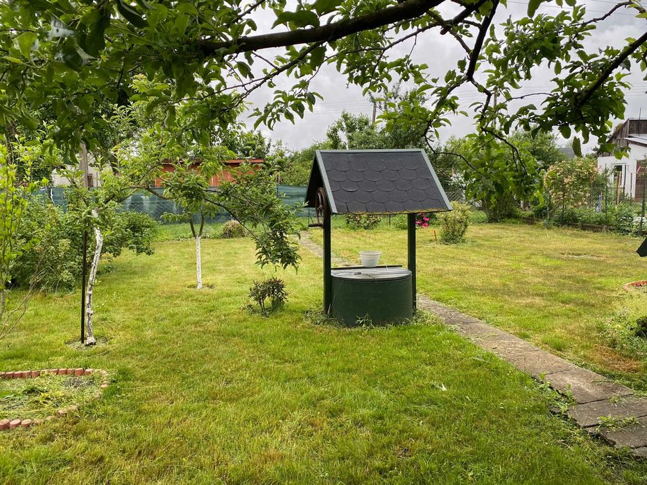 Ogródek działkowy Kopciuszek, działka rekreacyjna - Widok 6