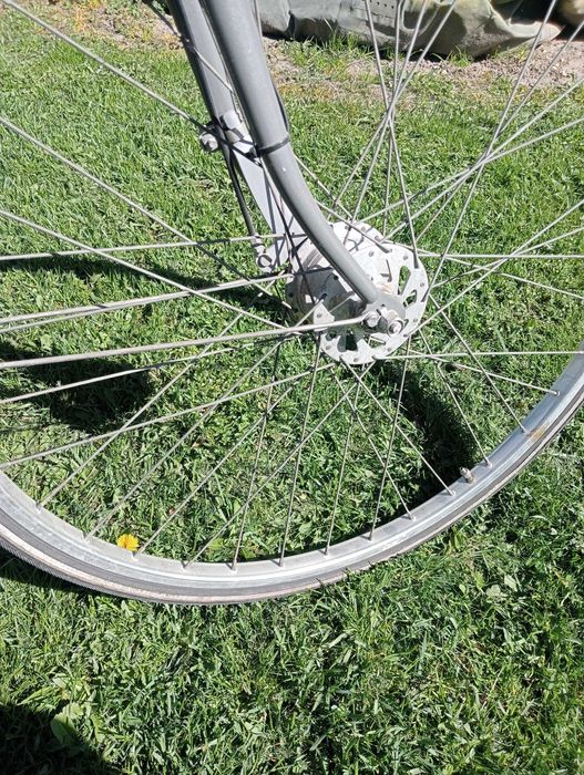 rower holenderski Altra w oryginale