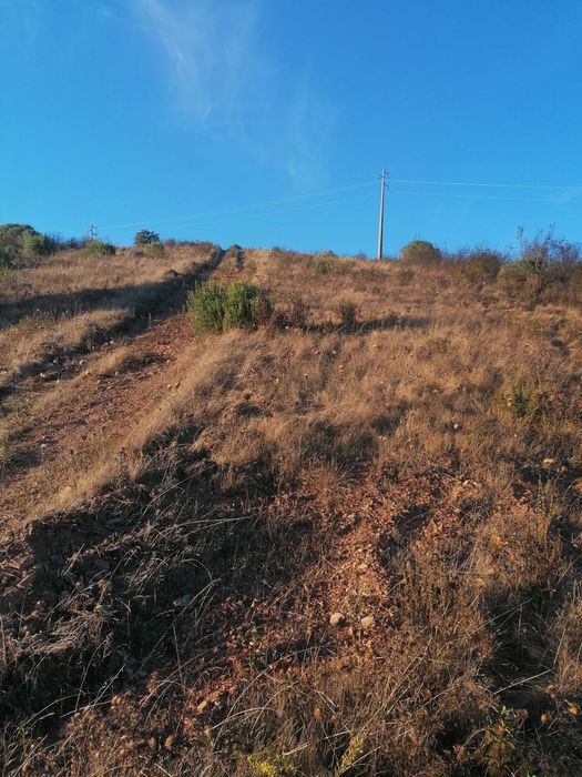 Terreno 12ha misto com possibilidade de turismo rural Bensafrim