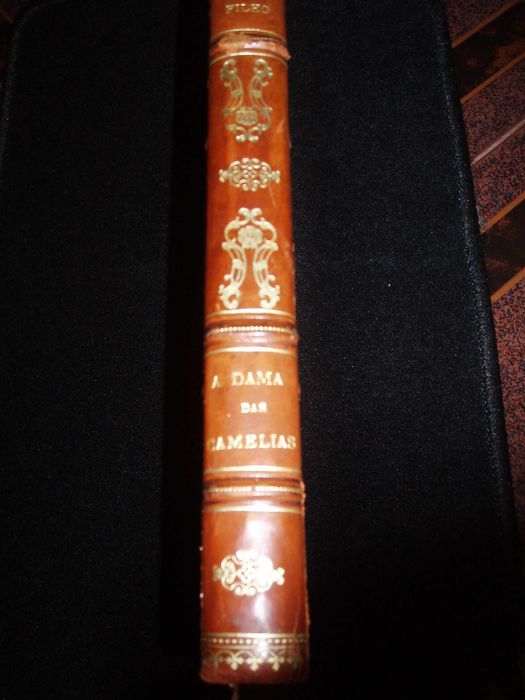 Dumas Filho - A Dama das Camélias edição ilustrada e de luxo