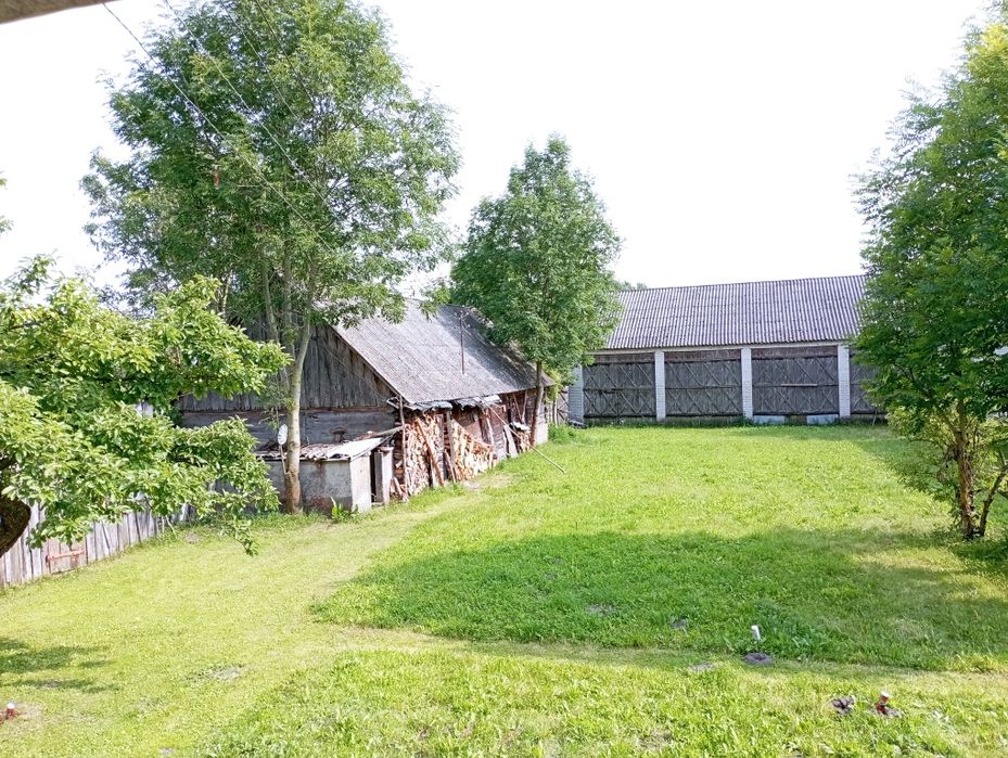 Zdjęcie 3