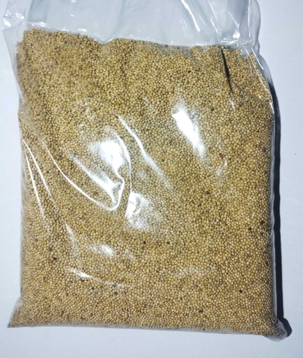 Sementes alimentação de aves, semear sementeira