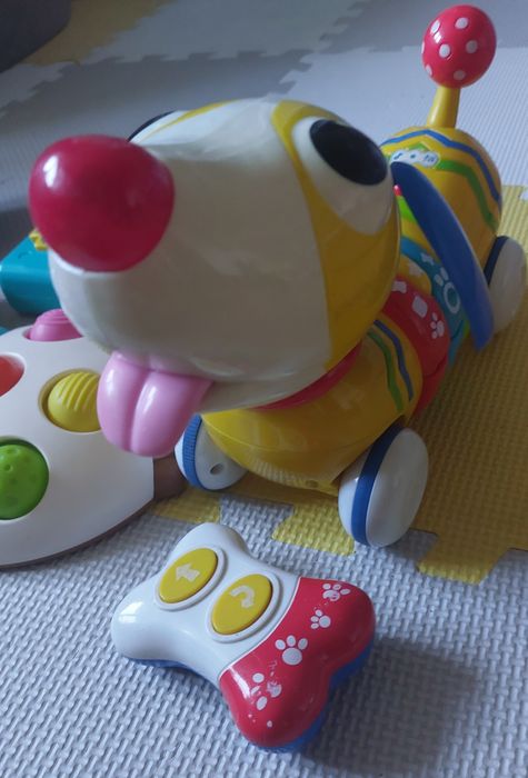 Zabawki interaktywne i nie tylko