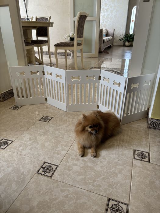 Огорожа барєр перегородка для собак