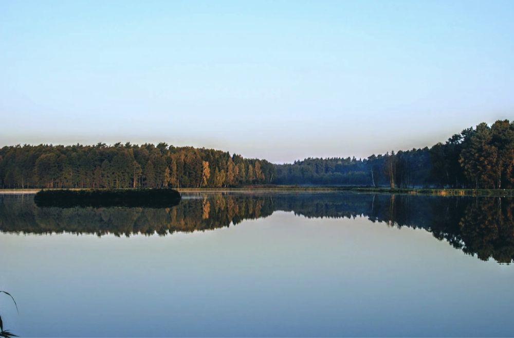 Domek caloroczny do wynajęcia