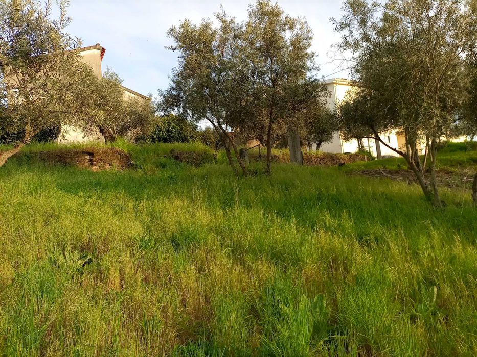 Terreno urbanizável na Rua da Barroca do Bicho - Peso, Covilhã