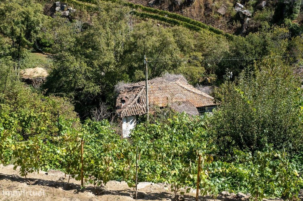 Casa de Habitação + 3 Moinhos de Água - Centro de Lamego
