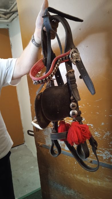 UNIKATOWY kantar uprząż puszek oglowa szory dla konia kucyka wiekowy s