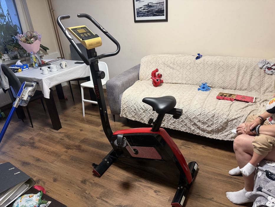 Rower treningowy Magnetyczny