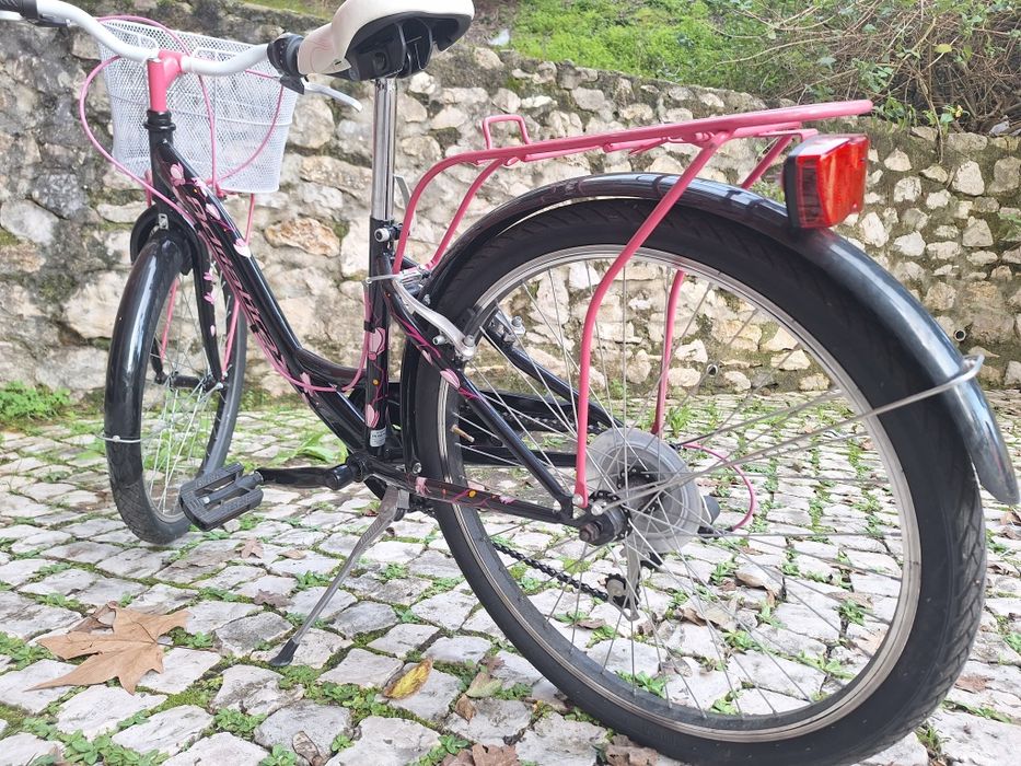 Bicicleta adriática