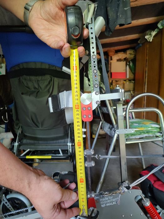 Pionizator Walker