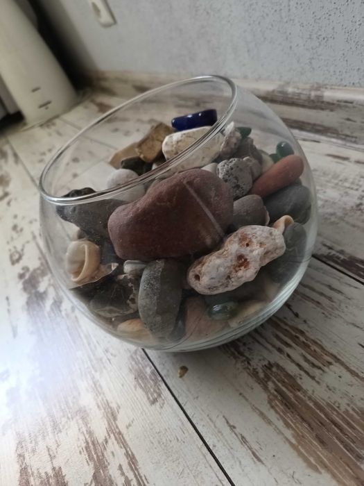 Kula akwarium z zawartością