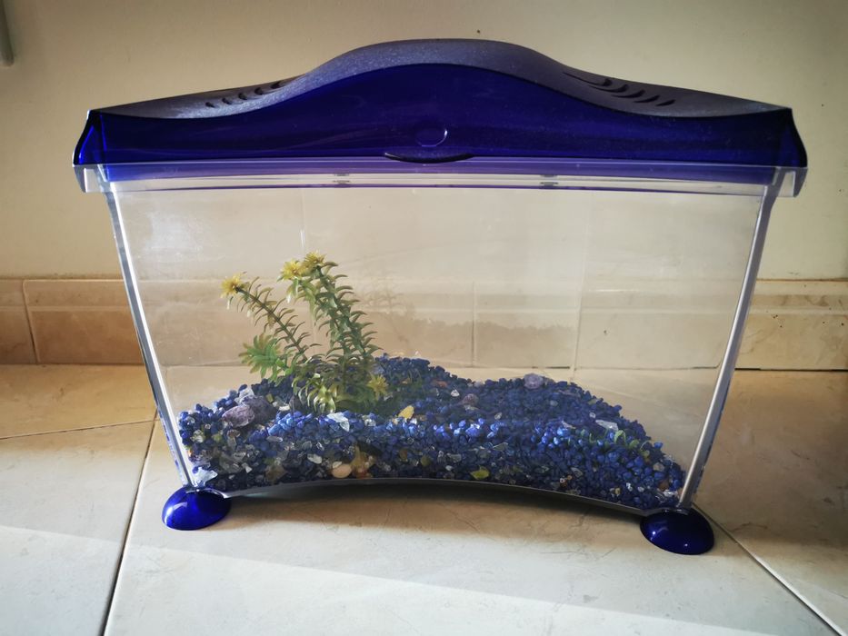 Aquário c/filtro