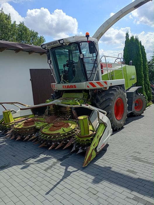 Koszenie kukurydzy na kiszonkę