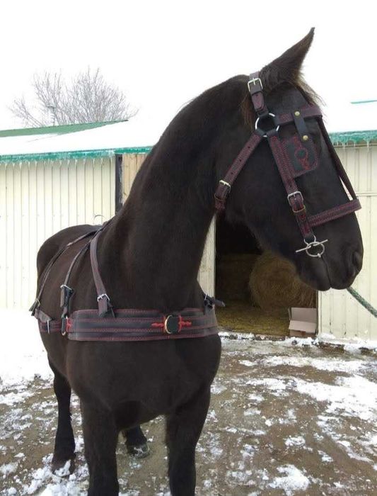 Шлея для коня, упряж,ручна робота