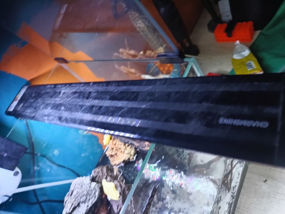 Oświetlenie do akwarium