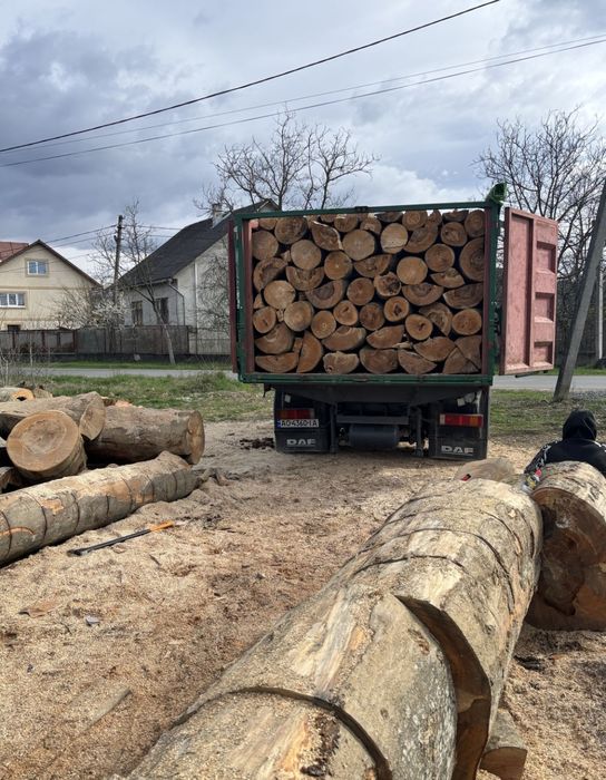 Дрова без посередників: плотно складені, доставка швидка, ціна низька 10,12,15,48м3