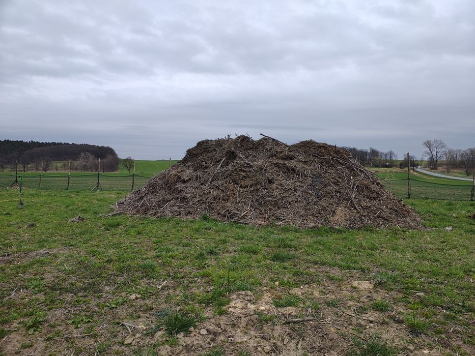 Oddam resztki po mulczowaniu.