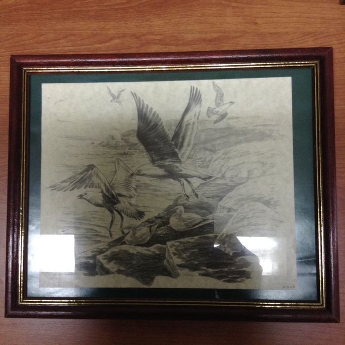 Quadros com gravuras caça