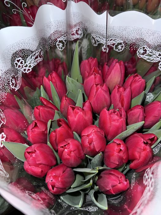 Луковиця тюльпана(після вигонки)