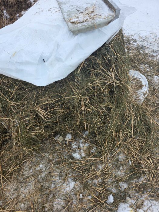 Kiszonka,siano,słoma