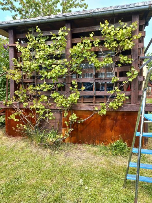 Działka ROD " Jutrzenka" w Gostyniu