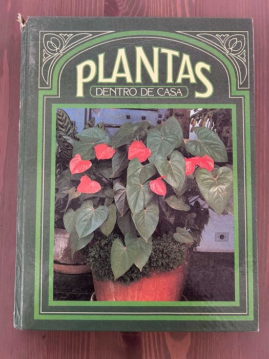 Livro Plantas dentro de Casa