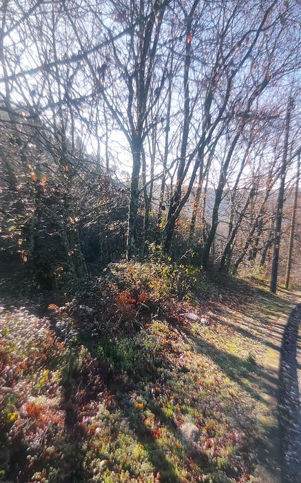 Terreno frente rio Douro com 7300 m2 perto da barragem de Crestuma