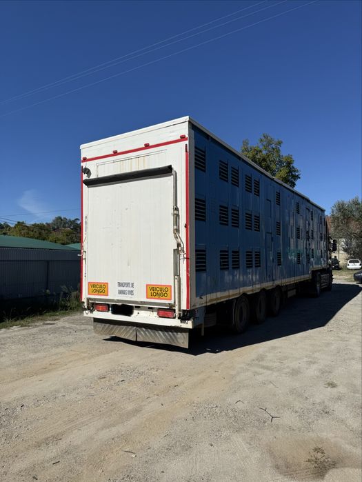 Conjunto\Scania 620 reboque de animais vivos